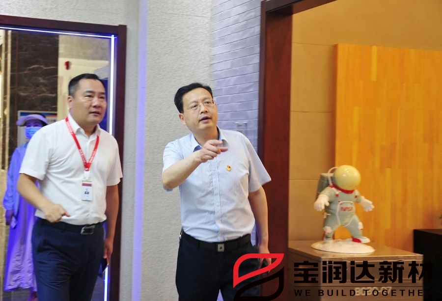 市人大常委會(huì)黨組書記劉明亮蒞臨寶潤達(dá)